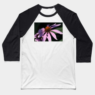 Purple Coneflowers Baseball T-Shirt